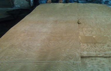 Ván lót bằng gỗ Burl Veneer tự nhiên, Ván Ash Wood Veneer để trang trí