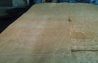 Vene gỗ màu vàng Ash Đối với tủ, Veneer gỗ tự nhiên Panels
