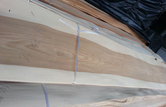 Ván ép gỗ bạch dương cắt lát tự nhiên bị đổi màu cho đồ nội thất