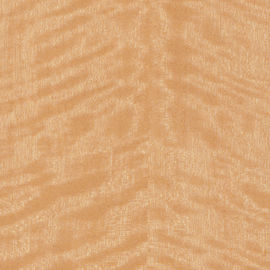 Gỗ ván ép bằng gỗ bạch dương tự nhiên MDF với kỹ thuật cắt lát cắt lát