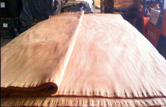 Ván ép gỗ tự nhiên Okoume Veneer / veneer gỗ Với lớp Ab