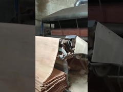 Gỗ tự nhiên PLB Tấm Veneer cắt quay