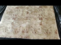 Vỏ bọc bông Poplar Burl A