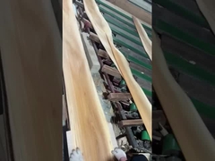 Cắt Crown Veneer Elm