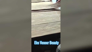 Ván ép cắt Elm Crown