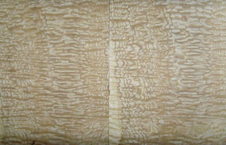 Ván lót bằng gỗ Burl Veneer tự nhiên, Ván Ash Wood Veneer để trang trí
