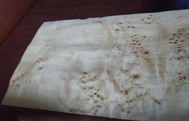 Poplar Burl Nhựa tự nhiên cắt Veneer Sheets, Elm Burl Veneer