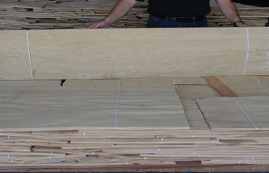Gạch Ashene Ashlite White Veneer Sheets cho Thủ công mỹ nghệ, gỗ tự nhiên