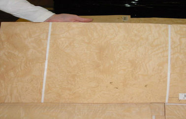 Gạch Ashene Ashlite White Veneer Sheets cho Thủ công mỹ nghệ, gỗ tự nhiên