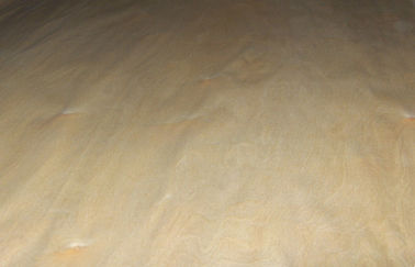 Veneer Birch Veneer tự nhiên Với 0.2 mm - 0.6 mm Độ dày