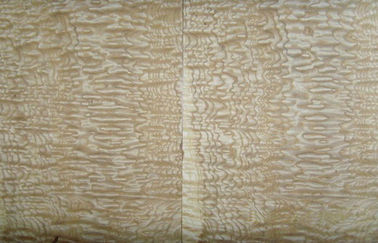 Tấm gỗ veneer tự dính xây dựng Hạt gỗ cắt quý