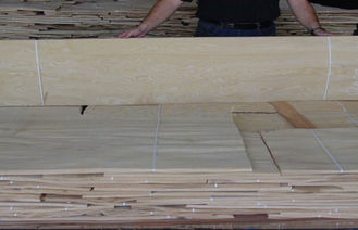 Ván lát ván tự nhiên bằng gỗ tự nhiên màu trắng Lát cắt 0.5mm Độ dày để hoàn thiện nội thất
