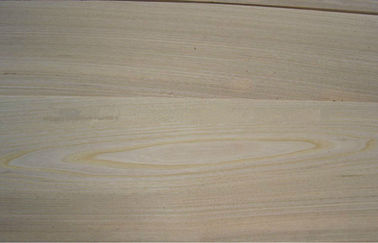 Vách gỗ màu nâu Elm Crown, 0,3 mm - veneer gỗ tự nhiên 0,6 mm