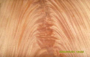Dard Red Crown cắt Veneer Mohagany Crotch, veneer gỗ tự nhiên