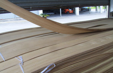 Veneer Ván ép Vải lanh tự nhiên, Nga Ván Ash Wood 0.5mm For Door