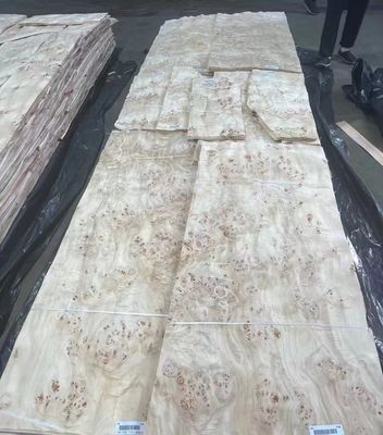 Bảng veneer bông bạch tuộc cắt tự nhiên loại A cho trang trí đồ nội thất