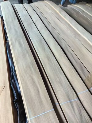 Chất lượng cao Nga Elm Quarter cắt veneer tấm cho đồ nội thất