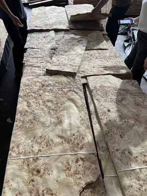 Bảng veneer Mappa Burl chất lượng cao cho trang trí đồ nội thất