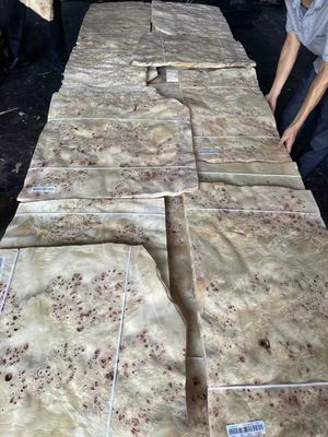 Bảng veneer Mappa Burl chất lượng cao cho trang trí đồ nội thất