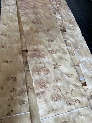 Bảng veneer Mappa Burl chất lượng cao cho trang trí đồ nội thất