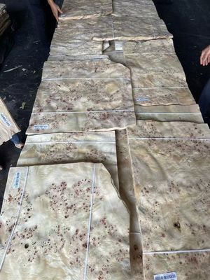 Bảng veneer Mappa Burl chất lượng cao cho trang trí đồ nội thất