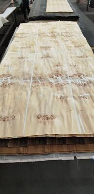 Dây tự nhiên Mappa Burl Veneer tấm với cắt cắt và 12-15% độ ẩm cho trang trí đồ nội thất