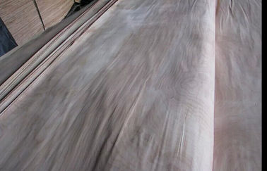 Cắt tự nhiên bằng gỗ Birch cắt gỗ ván A Grade For Furniture