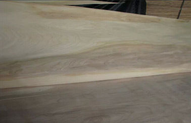 Cắt tự nhiên bằng gỗ Birch cắt gỗ ván A Grade For Furniture