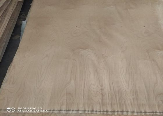 Tấm veneer gỗ bạch dương cắt quay loại A 0,18mm 0,22mm